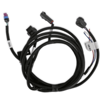 Holley EFI Transmission Harness - TKO 558-482