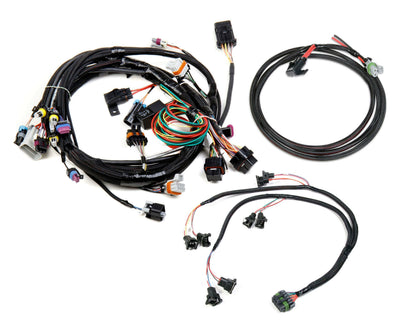 GM LS 24X EFI HARNESS KIT - 558-500