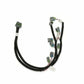 Ford Coyote Ti-VCT Harness Kit 558-510