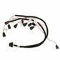 Ford Coyote Ti-VCT Harness Kit 558-510