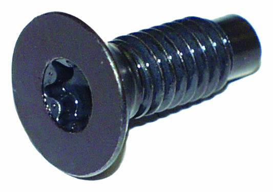 Vintage - Metal Unpainted Windshield Hinge Screw - 6035757