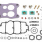 Marine Carb Renew Kit - 703-60