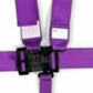 L & L 5Pt Seat Belt Purple - 711051RQP