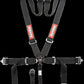 Sfi Camlock 5Pt Pd Lap Seat Belts Blk - 741001RQP