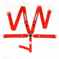 Sfi Camlock 5Pt Pd Lap Seat Belts Red - 741011RQP