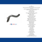 Fits Bronco 2021-2022 Axle Back Exhaust Pipe System 2.3L,27L  818125