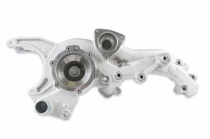 MANIFOLD-BRACKET KIT, LT4 WET-NATURAL - 97-250