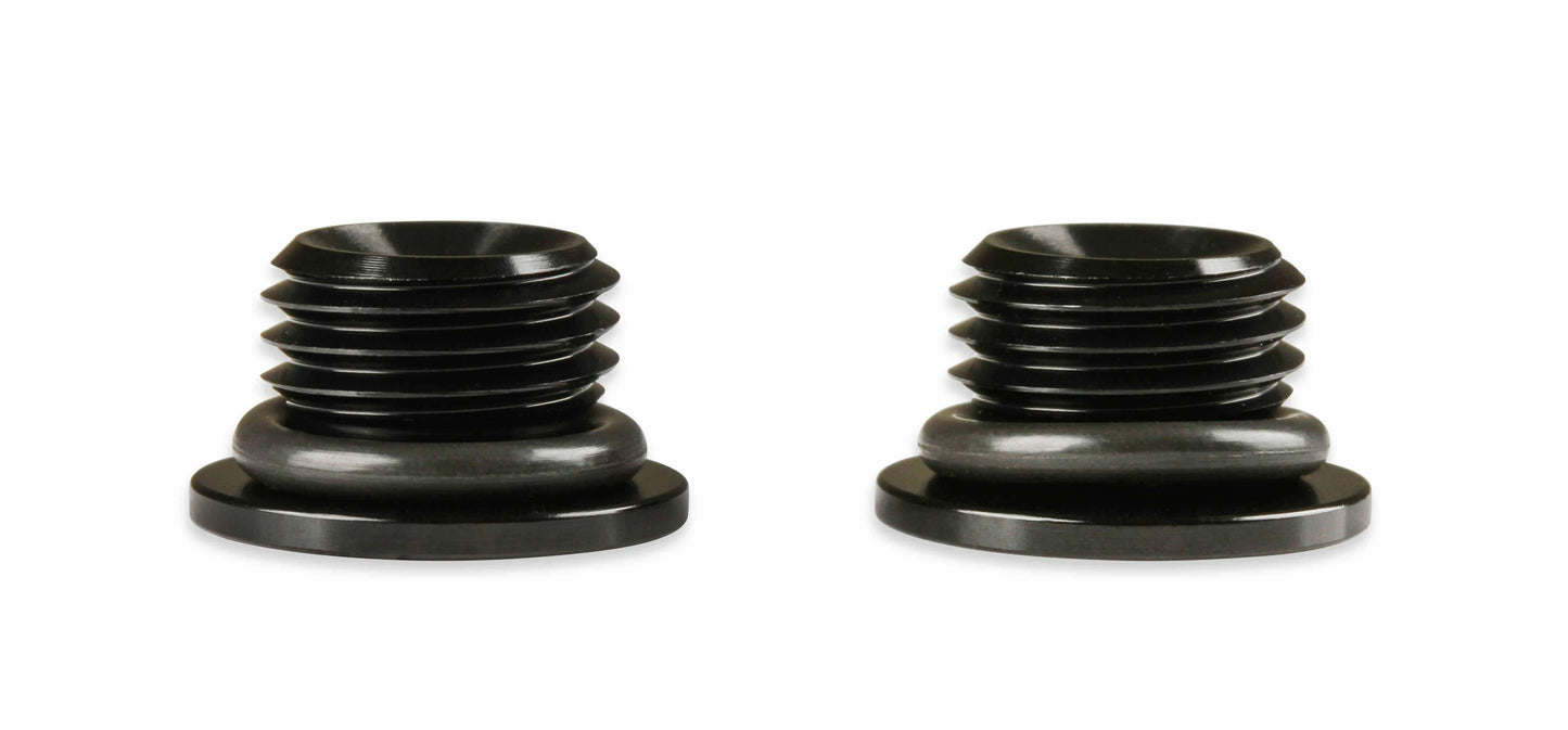 Earls AN Port Plug - Allen Head - AT581306ERL
