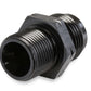 Earls Straight Male AN -8 to 12mm x 1.5 - Black - AT9919EFGERL