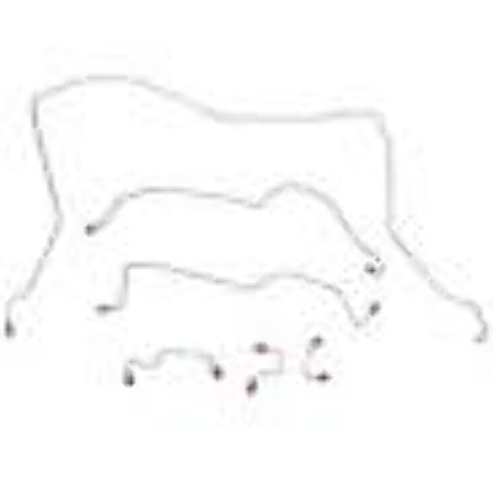 02-03 Durango RT, 4wd, Disc Brakes; Complete Brake Line Kit; S/S; CBK0096SS - Complete Brake Line Kit Car Part People