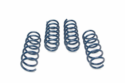 Dinan Performance Spring Set - 2018-2020 BMW M550i xDrive - D100-0932