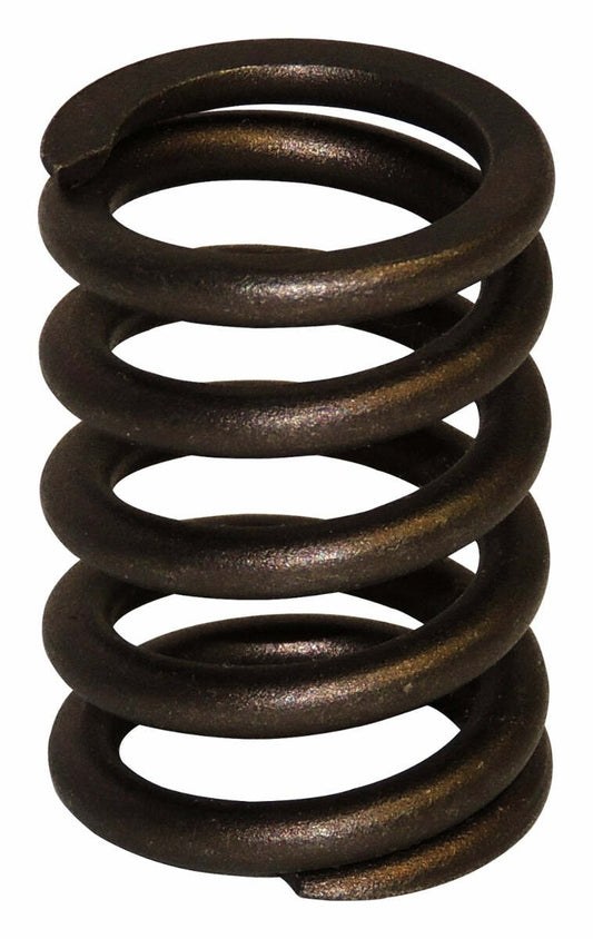 Crown Automotive - Steel Unpainted Valve Spring - J3242678