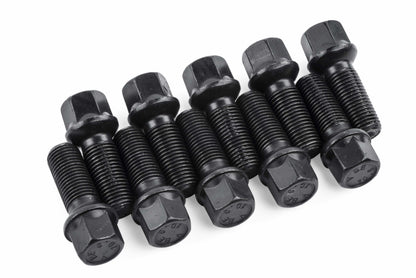APR Lug Bolts (Set of 10) - 40mm - MS100176