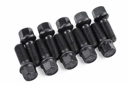 APR Lug Bolts (Set of 10) - 45mm - MS100177