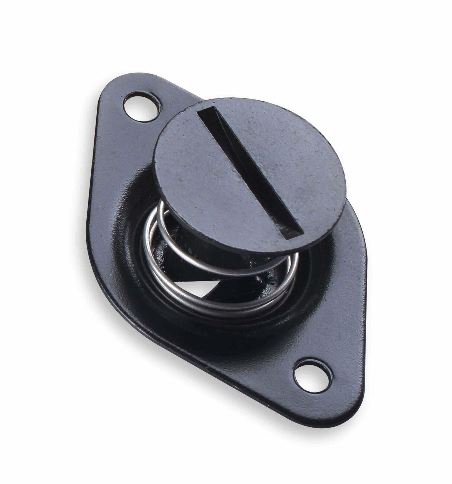 Earl's Quarter Turn Fasteners - PANE6550BK-ERL