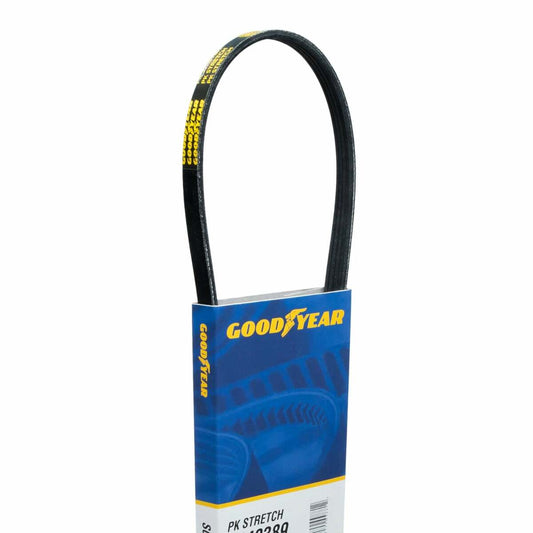Multi V-Belt Goodyear S060281