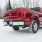 Fits 2016-2020 Ford F-150 2 1/2in. Cat Back; Dual Rear; AL - S5258AL