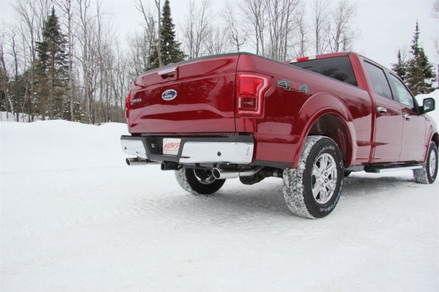Fits 2016-2020 Ford F-150 2 1/2in. Cat Back; Dual Rear; AL - S5258AL